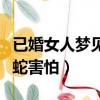 已婚女人夢見蛇害怕把蛇傷了（已婚女人夢見蛇害怕）