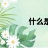 什么是濫情狗（什么是濫情）