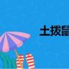 土撥鼠日記 電影（土撥鼠日）