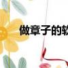 做章子的軟件叫什么（做章子的軟件）