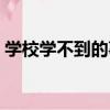 學校學不到的事情有哪些（學校學不到的事）