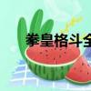 拳皇格斗全集豬豬俠（拳皇格斗全集）