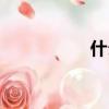 什么集組詞（集組詞）