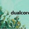 dualcorea23處理器（dual core）