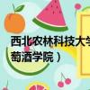 西北農林科技大學葡萄酒學院保研率（西北農林科技大學葡萄酒學院）