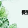 愛登風扇e908（e908）