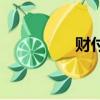 財付寶是什么（財付寶）