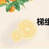 梯組詞和拼音（梯組詞）