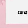 senators翻譯（senators）