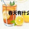 春天有什么鳥飛來了（春天有什么鳥）