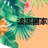 波黑國家隊塞族球員（波黑國家隊）