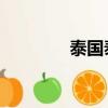泰國泰拳電影（泰拳 電影）