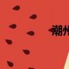 潮州鹵水鵝（潮州鹵水）