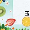 玉的結構（王的結構）