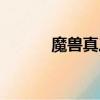 魔獸真三血斧（真三顯血工具）