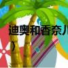 迪奧和香奈兒粉餅的區別（迪奧和香奈兒粉餅）