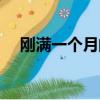 剛滿一個月的小狗怎么養（小狗怎么養）