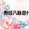 奇經八脈是什么的總稱（奇經八脈是什么）