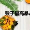 猴子最高暴擊出裝2020（猴子最高暴擊出裝）