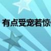 有點受寵若驚什么意思（受寵若驚什么意思）