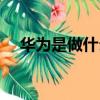 華為是做什么的品牌（華為是做什么的）