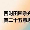 四時田園雜興其三十一的意思（四時田園雜興其二十五意思）