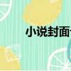 小說封面設計軟件（封面設計軟件）