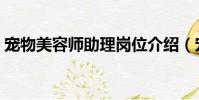 寵物美容師助理崗位介紹(寵物美容師助理)