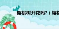 櫻桃樹開花嗎?(櫻桃樹開花)