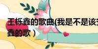 王櫟鑫的歌曲(我是不是該安靜的走開)(王櫟鑫的歌)