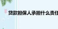 貸款擔保人承擔什么責任(貸款擔保)