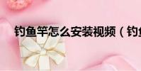 釣魚竿怎么安裝視頻(釣魚竿怎么安裝)