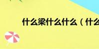 什么梁什么什么(什么音什么梁)
