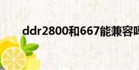 ddr2800和667能兼容嗎(ddr800)