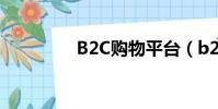 B2C購物平臺(b2c購物)