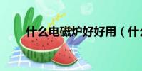 什么電磁爐好好用(什么電磁爐好)