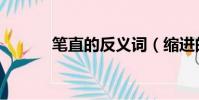筆直的反義詞(縮進的反義詞)