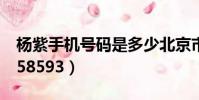 楊紫手機號碼是多少北京市(楊紫手機號碼158593)