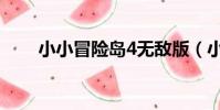小小冒險島4無敵版(小小冒險島4)