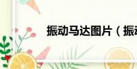 振動馬達圖片(振動馬達)