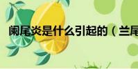 闌尾炎是什么引起的(蘭尾炎是什么癥狀)