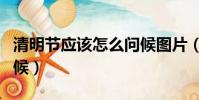 清明節應該怎么問候圖片(清明節應該怎么問候)