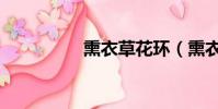 熏衣草花環(熏衣草花)
