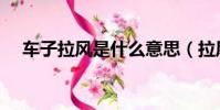 車子拉風是什么意思(拉風是什么意思)