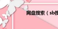 網盤搜索(sb搜索)