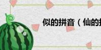 似的拼音(仙的拼音)