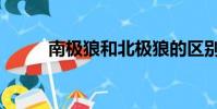 南極狼和北極狼的區別(南極狼)