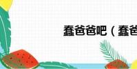 蠢爸爸吧(蠢爸爸)
