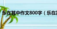 樂在其中作文800字(樂在其中作文600字)