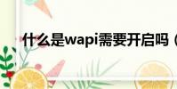 什么是wapi需要開啟嗎(什么是wap)